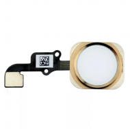 Шлейф для Apple iPhone 6/ iPhone 6 Plus на кнопку HOME в сборе Золото